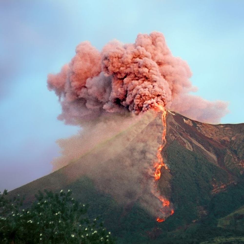 Meet your Posher, Chennie